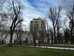 photo_low235952