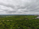 photo_low239070