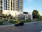 photo_low243055