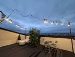 photo_low247804