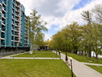 photo_low254333