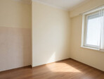 photo_low254356