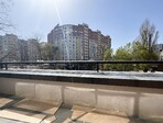photo_low254503