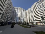 photo_low254515