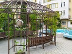 photo_low254844