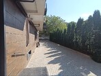 photo_low254944