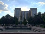 photo_low256156