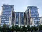 photo_low256154