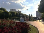 photo_low256158