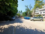 photo_low256194