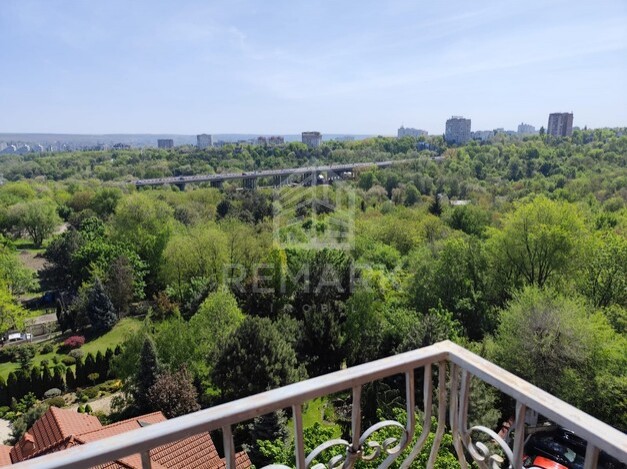 photo237509