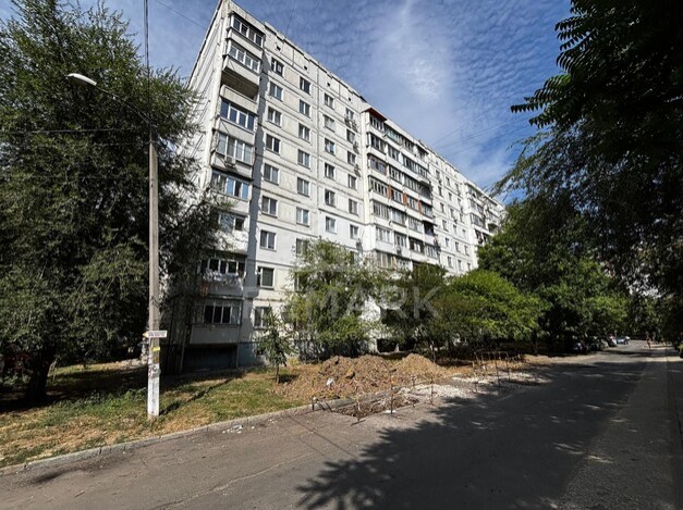 photo242650