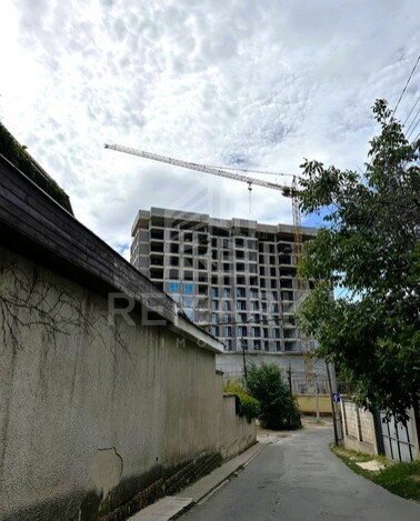 photo243052