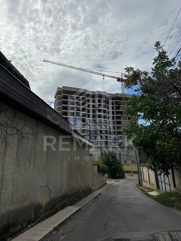 photo243356