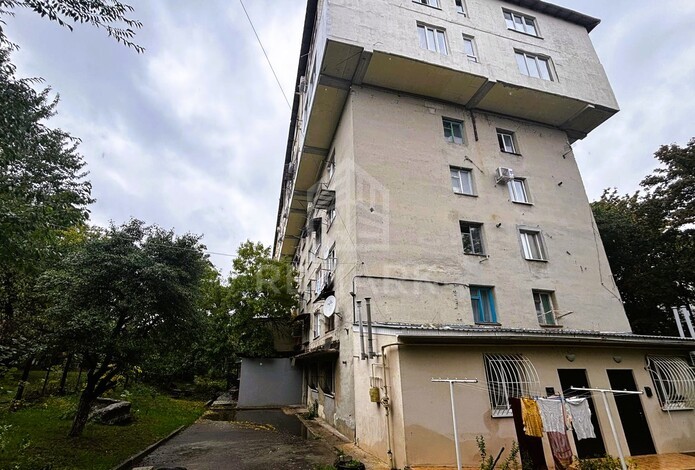 photo246264