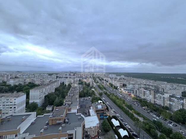 photo247805