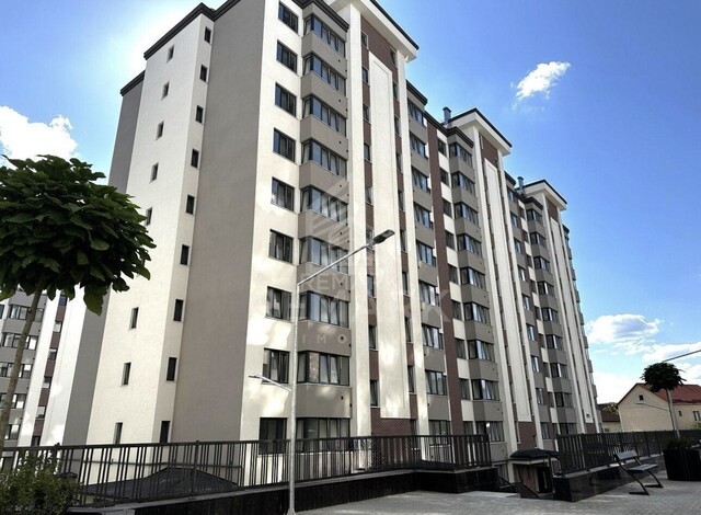 photo254442