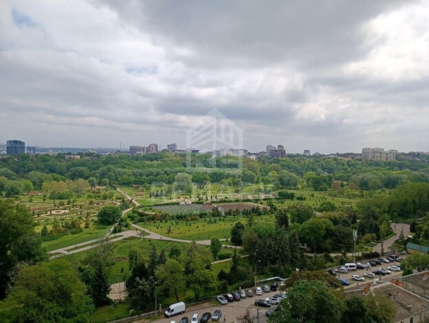 photo254920