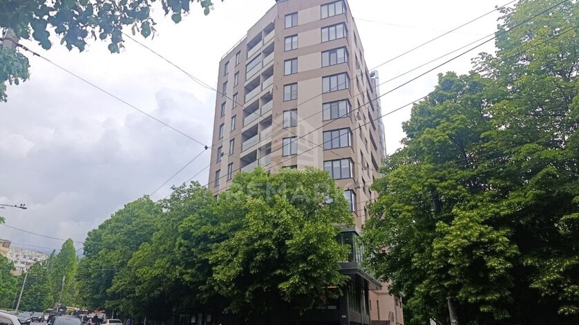photo255005