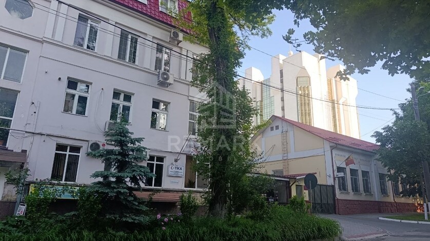 photo255242