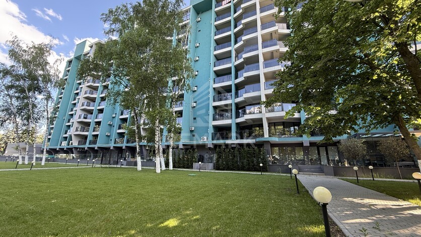 photo257583