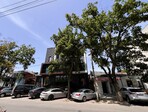 photo_low229442
