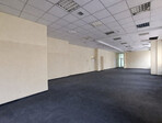 photo_low254098