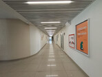 photo_low254167