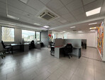 photo_low254241