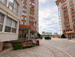 photo_low254353