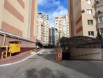 photo_low254479