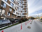 photo_low254489