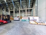 photo_low254554