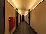photo_low254616