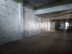photo_low254750