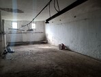 photo_low254754