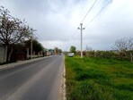 photo_low254758