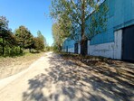 photo_low254760