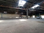 photo_low254763
