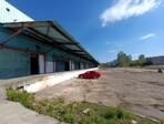 photo_low254762