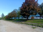 photo_low254969