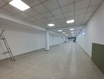 photo_low255073