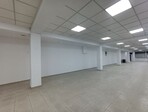 photo_low255071