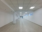 photo_low255078