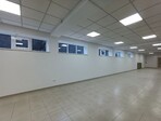 photo_low255077