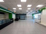 photo_low255080