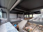 photo_low255091
