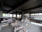 photo_low255088