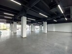 photo_low255185
