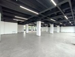 photo_low255188
